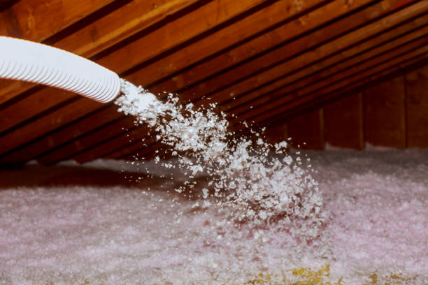 Best Insulation Contractor Near Me  in Hayden, ID