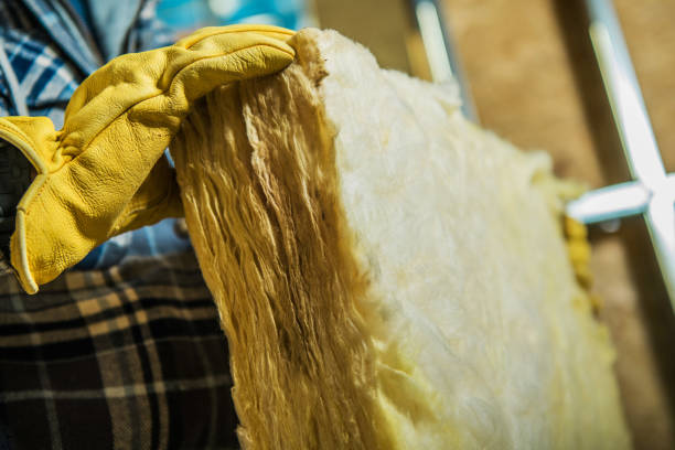 Best Residential Insulation Services  in Hayden, ID