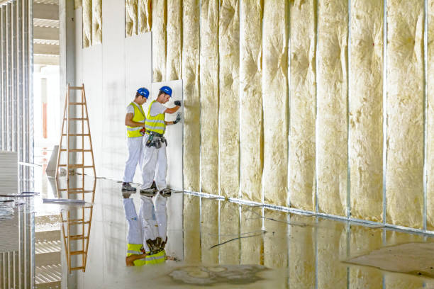Best Insulation Inspection Services  in Hayden, ID